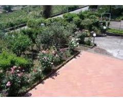 Sant'Alfio Villino singolo iperpanoramico con 1000 mq di giardino