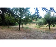 Bel Villino con 6000 mq di giardino con bel panorama