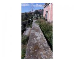 San Gregorio via Cerza grande rustico con giardino di 6500 mq