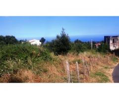 Rustico a Monacella da restaurare con terreno annesso