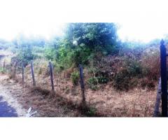 Rustico a Monacella da restaurare con terreno annesso