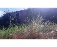 Rustico a Monacella da restaurare con terreno annesso