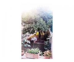 Villino angolare in residence con ampio giardino e terrazzo