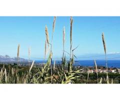 Terreno agricolopanoramico con fabbricato e palmento da restaurare