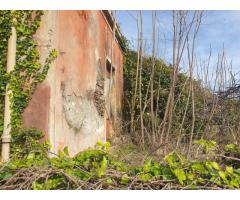 Tenuta agricola di 30 mila mq con tanti fabbricati e molto panorama