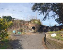 Tenuta agricola di 30 mila mq con tanti fabbricati e molto panorama