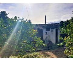 Tenuta agricola di 30 mila mq con tanti fabbricati e molto panorama