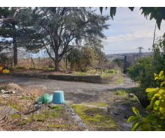 Tenuta agricola di 30 mila mq con tanti fabbricati e molto panorama