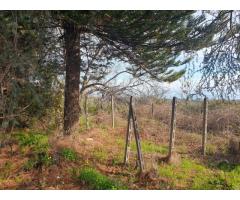 Tenuta agricola di 30 mila mq con tanti fabbricati e molto panorama