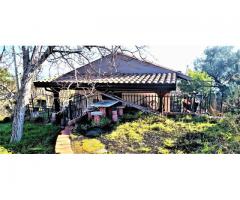 Villino con giardino e vista Spettacolare sul mare