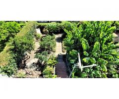 Ampio villino con gran bel giardino