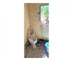 Singola con giardino pluriuso e ad alta visibilità