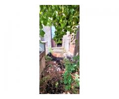 Singola con giardino pluriuso e ad alta visibilità