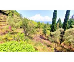 Vena villino con annesso antico palmento e parco di 11000 mq
