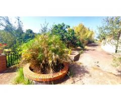 casa vacanze con bel frutteto