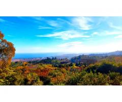 Bel casolare a piano terra con giardino e gran vista sul mare e Taormina