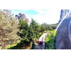 Bel casolare a piano terra con giardino e gran vista sul mare e Taormina