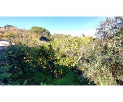 Bel casolare a piano terra con giardino e gran vista sul mare e Taormina