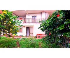 Bel villino con tanto spazio e molto giardino