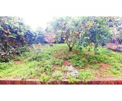 Bel villino con tanto spazio e molto giardino