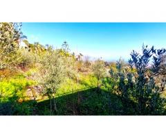 Fabbricato con vista iperbolica sul mare e con giardino di 5000 mq