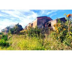 Rustico con mille mq di giardino da restaurare totalmente