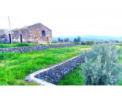 Antico casolare  con maxi panorama con 12000 mq di uliveto