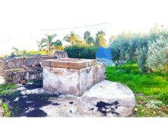Antico casolare  con maxi panorama con 12000 mq di uliveto