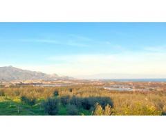Antico casolare  con maxi panorama con 12000 mq di uliveto