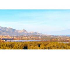 Antico casolare  con maxi panorama con 12000 mq di uliveto