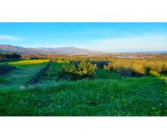 Antico casolare  con maxi panorama con 12000 mq di uliveto