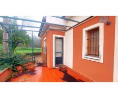 Bel rustico siciliano con molto terreno e gran panorama