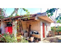 Doppia unità immobiliare con giardino circostante di 5000 mq