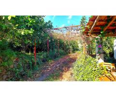 Doppia unità immobiliare con giardino circostante di 5000 mq