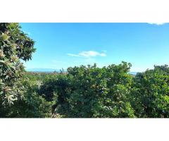 Doppia unità immobiliare con giardino circostante di 5000 mq