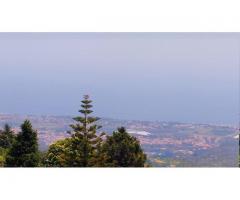 Puntalazzo di Mascali con vista e giardino