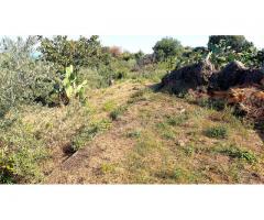 Piano terra a Presa con Giardino circostante