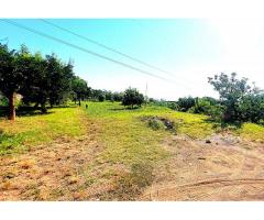 Deposito con bel frutteto