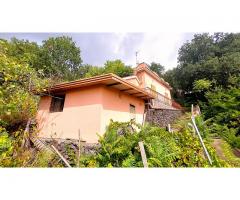 Bel Vigneto con fabbricato e cantina